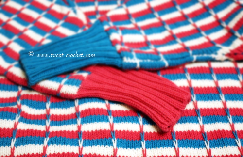 pull_sauve_sourie_tricolore