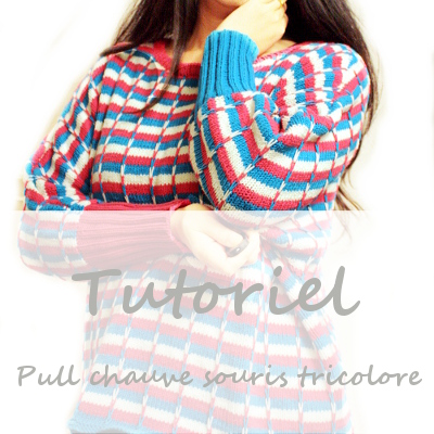 tuto_pull_sauve_sourie_tricolore